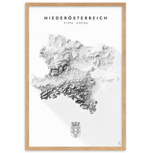 Lade das Bild in den Galerie-Viewer, Niederösterreich 3D-Relief Schwarz-Weiß Kunstdruck Detailansicht
