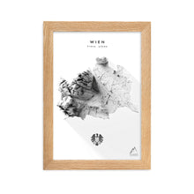 Lade das Bild in den Galerie-Viewer, Wien 3D-Relief Schwarz-Weiß Kunstdruck Detailansicht