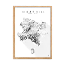 Lade das Bild in den Galerie-Viewer, Niederösterreich 3D-Relief Schwarz-Weiß Kunstdruck Detailansicht
