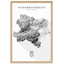 Lade das Bild in den Galerie-Viewer, Niederösterreich 3D-Relief Schwarz-Weiß Kunstdruck Detailansicht
